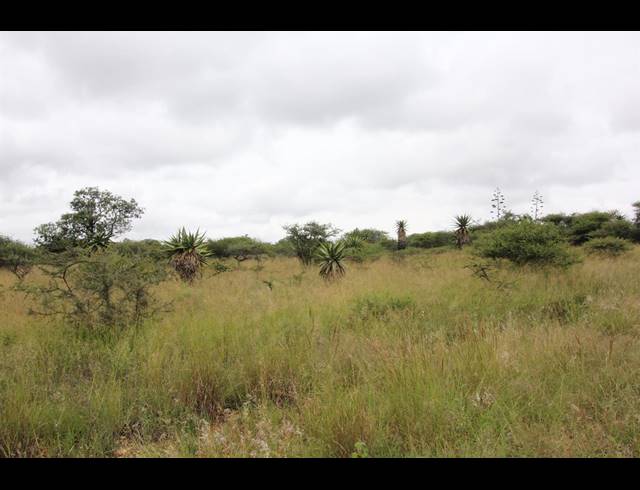 23HA VACANT LAND FOR SALE IN BENDOR